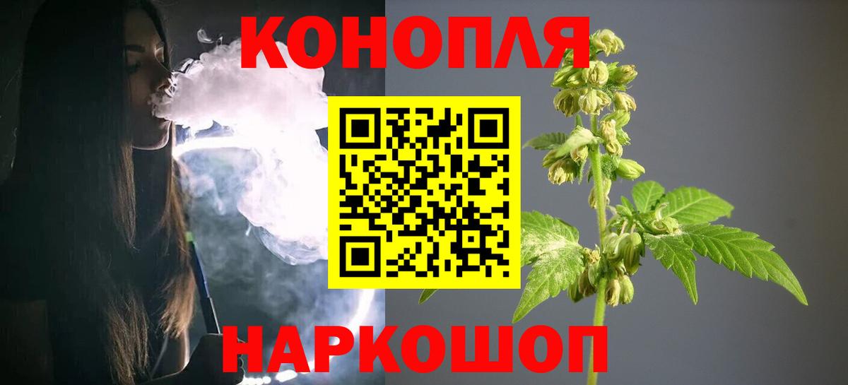 Шишки марихуана план  Канабис OG Kush  Вход с VPN  Кунгур  Каннабис THC 21% 